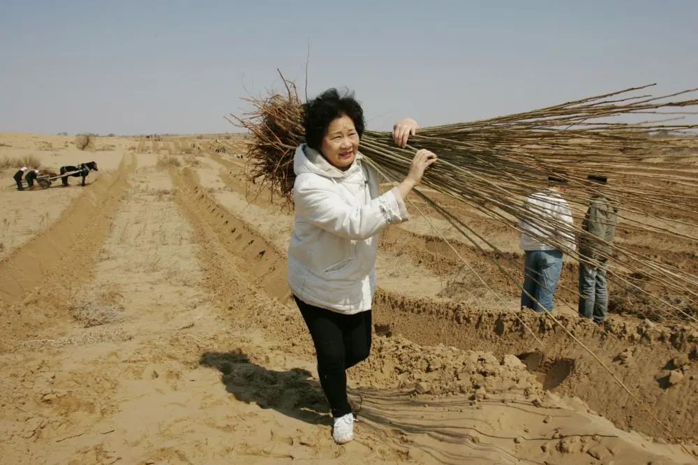 喜报！虹口区4名侨界人士在全国侨代会上获得表彰