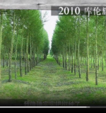 走向风沙（澎湃视频）