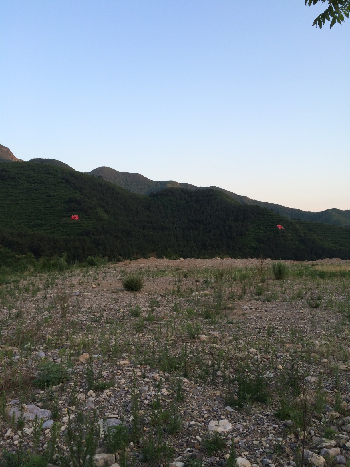 绿美家园-1.jpg