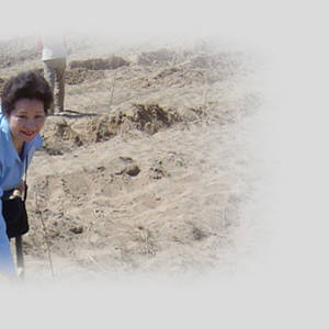 2004年，绿色生命