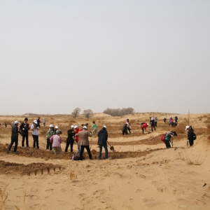 2010年在库伦旗植树50万棵