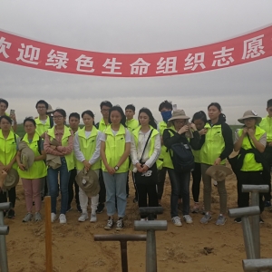 2019年植树(二)